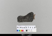 藏品(中國湖北皮影戲盔帽)的圖片